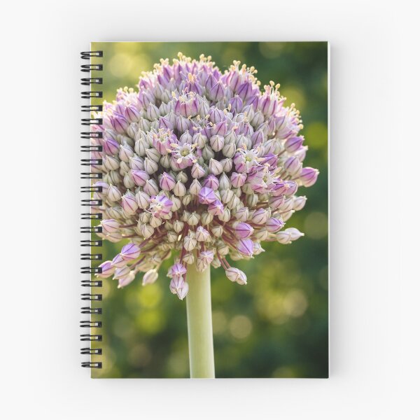 Item preview, Lavender Allium in Golden Garden Light designed and sold by Kimberly Palmer.