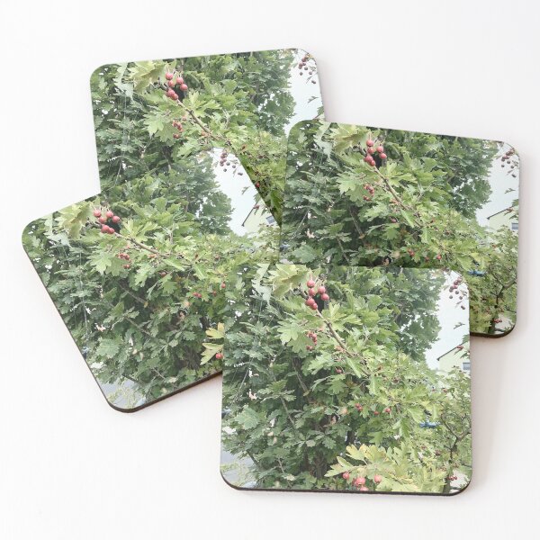 Item preview, Red Hawthorn Berries in Green Foliage designed and sold by PhuongVoArt.