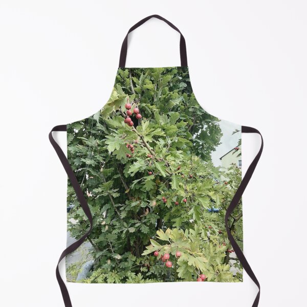 Item preview, Red Hawthorn Berries in Green Foliage designed and sold by PhuongVoArt.