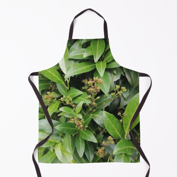 Item preview, Green Cherry Laurel Leaves and Developing Berries designed and sold by PhuongVoArt.