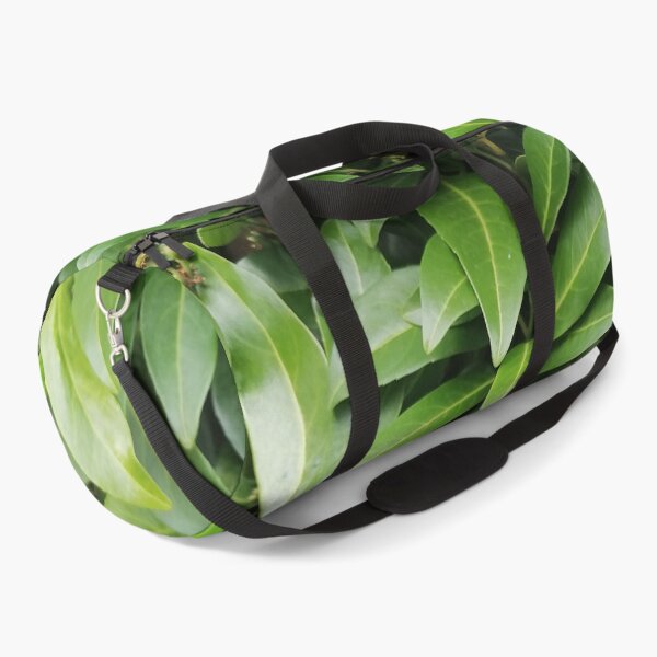 Item preview, Green Cherry Laurel Leaves and Developing Berries designed and sold by PhuongVoArt.
