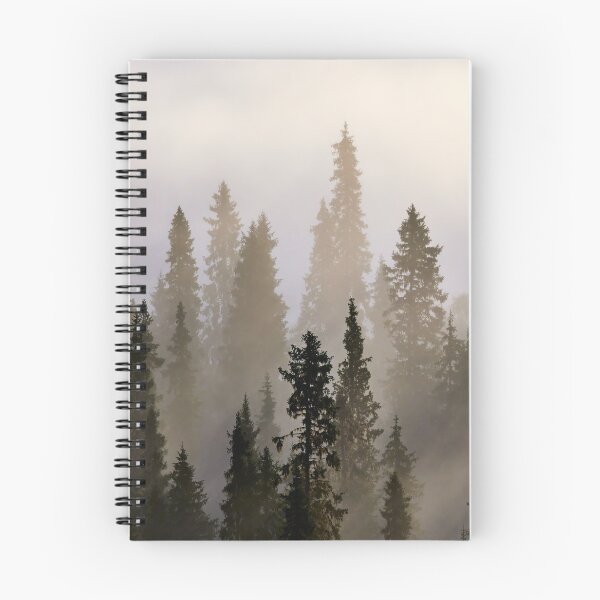 Item preview, The Spuces. Early Morning at Pahkanakallio 5 designed and sold by Jouko Lehto Photography.