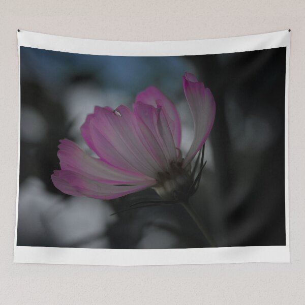 Aperçu de l'œuvre Cosmos rose créée et vendue par Cblifeisgood.