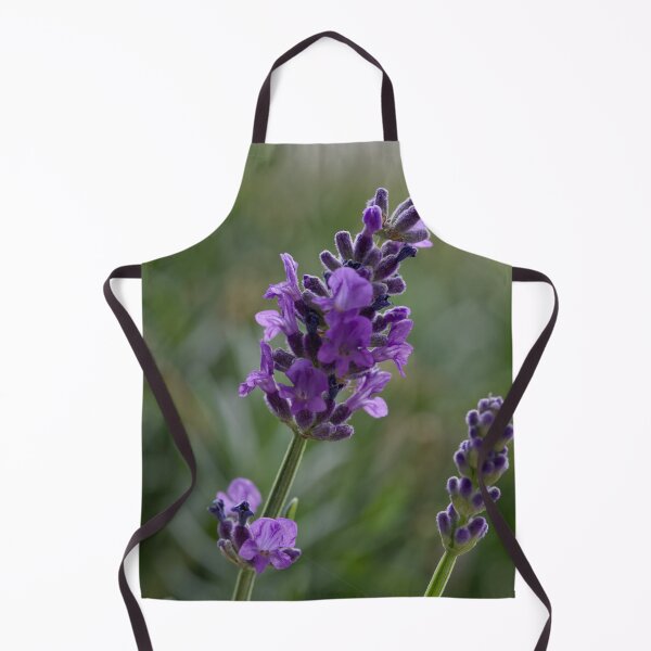 Item preview, Lavender  designed and sold by Cblifeisgood.