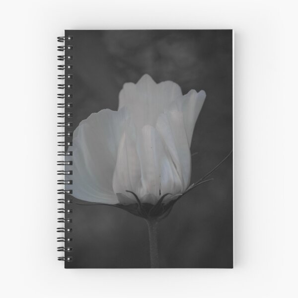 Item preview, Cosmos blancos designed and sold by Cblifeisgood.
