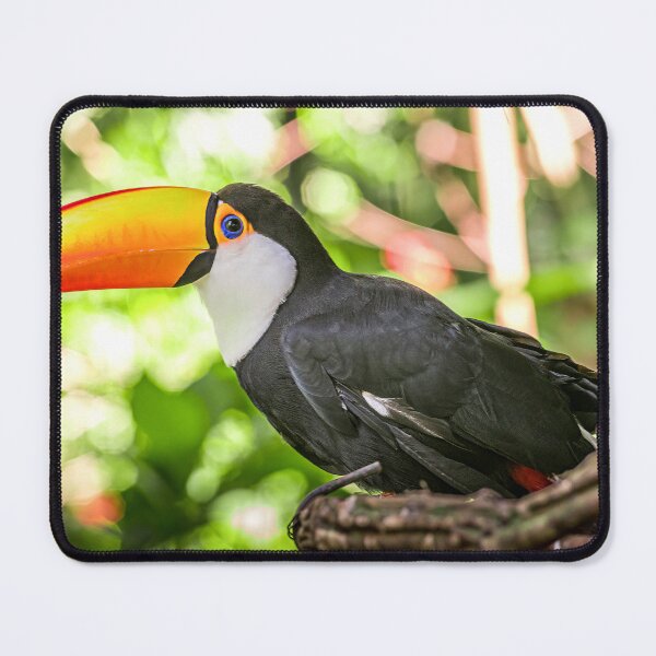 Item preview, Toco Toucan in Brazilian Rainforest designed and sold by Craig Bernstein.