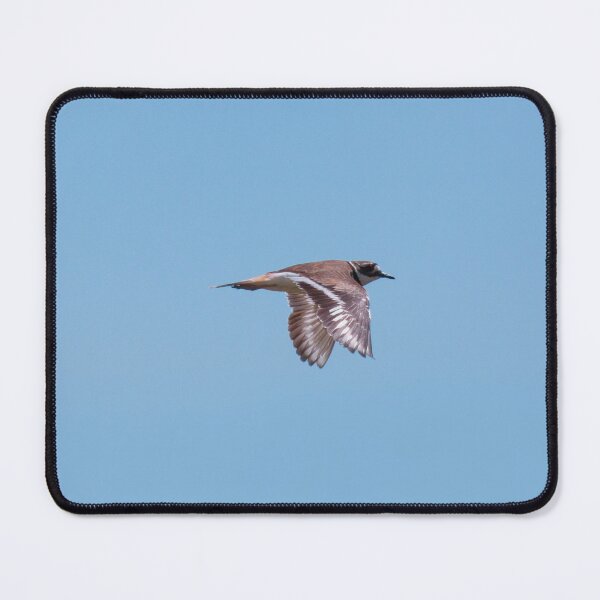 Item preview, Killdeer Bird in Flight designed and sold by design.by.porter.