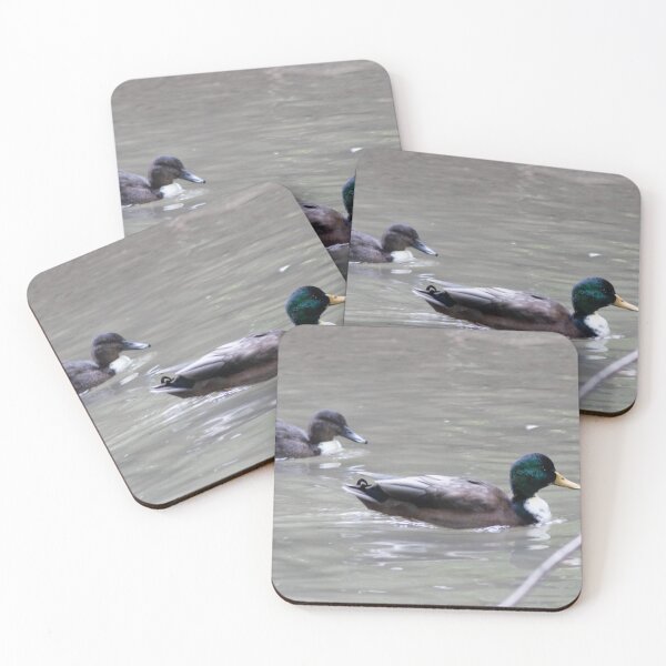Item preview, Mallard and Drake Duck Swimming designed and sold by WilesNailsPower.