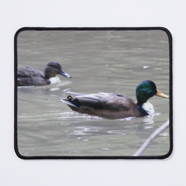 Item preview, Mallard and Drake Duck Swimming designed and sold by WilesNailsPower.