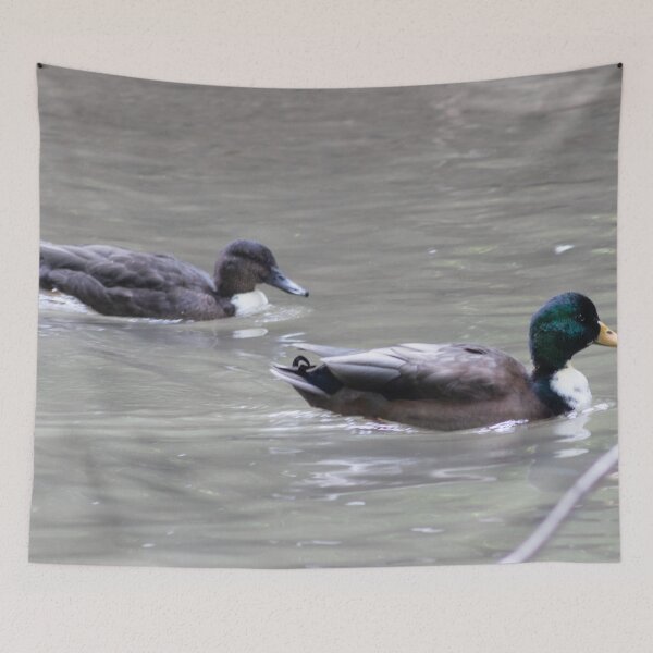 Item preview, Mallard and Drake Duck Swimming designed and sold by WilesNailsPower.