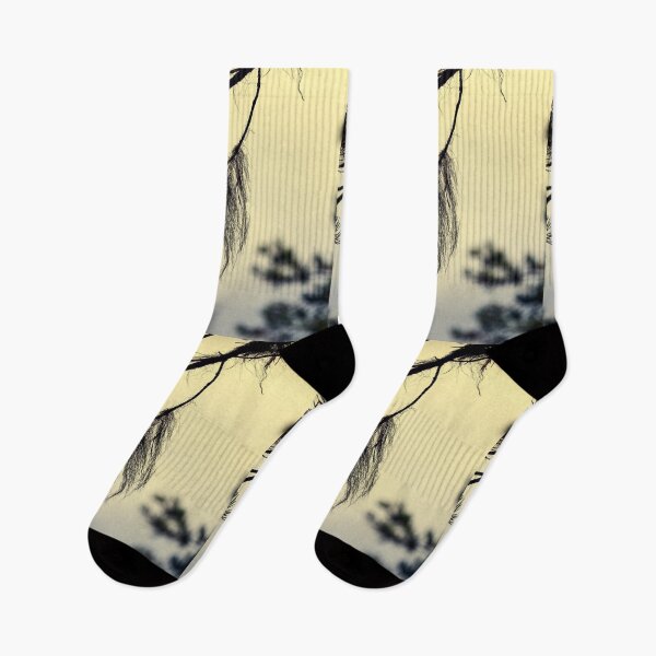 Item preview, Beard lichen Early Morning at . Pahkanakallio 13 designed and sold by Jouko Lehto Photography.
