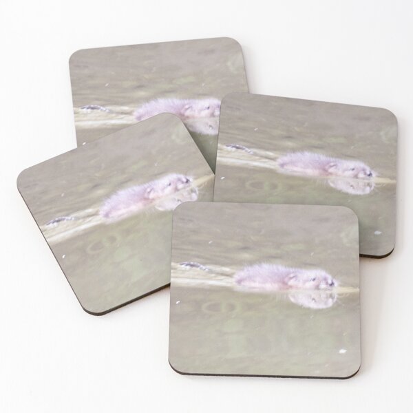 Item preview, North American Beaver Swimming- Front View designed and sold by WilesNailsPower.