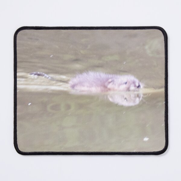 Item preview, North American Beaver Swimming- Front View designed and sold by WilesNailsPower.