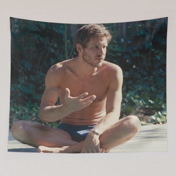 Item preview,  Harrison Ford  Summer designed and sold by pixelartshop4r.
