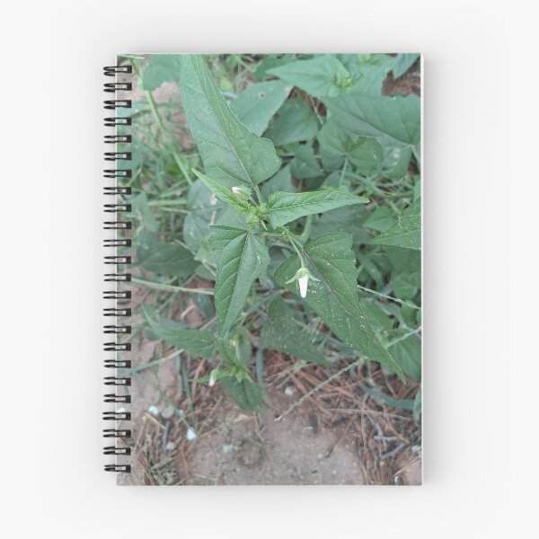 Item preview, The weeds designed and sold by Point-land.