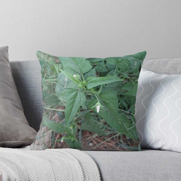 Item preview, Las malas hierbas designed and sold by Point-land.