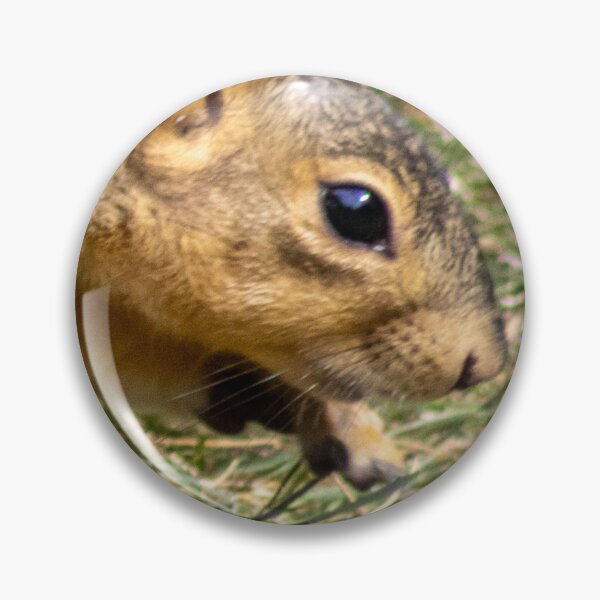 Item preview, American Red Squirrel in Motion  designed and sold by WilesNailsPower.