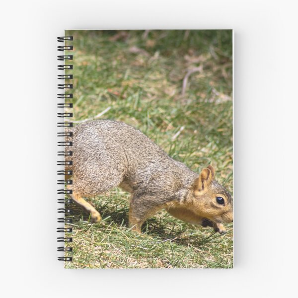 Item preview, American Red Squirrel in Motion  designed and sold by WilesNailsPower.