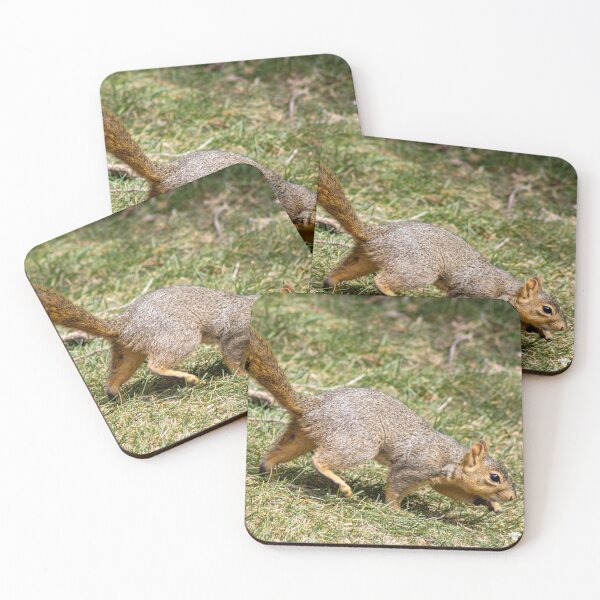Item preview, American Red Squirrel in Motion  designed and sold by WilesNailsPower.