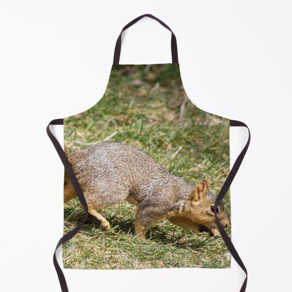 Item preview, American Red Squirrel in Motion designed and sold by WilesNailsPower.