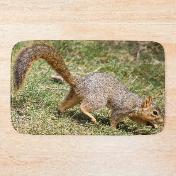 Item preview, American Red Squirrel in Motion  designed and sold by WilesNailsPower.
