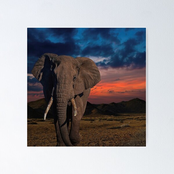 Item preview, African Elephant Beneath a Fiery Sunset designed and sold by SanaaYangu.