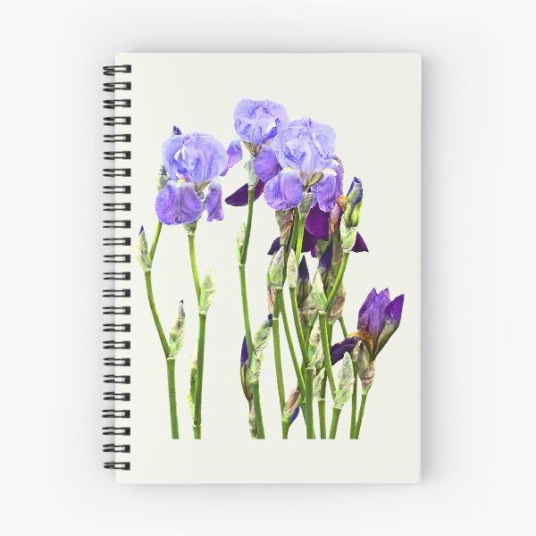 Item preview, Group of Lavendar Irises and Buds designed and sold by Susan Savad.