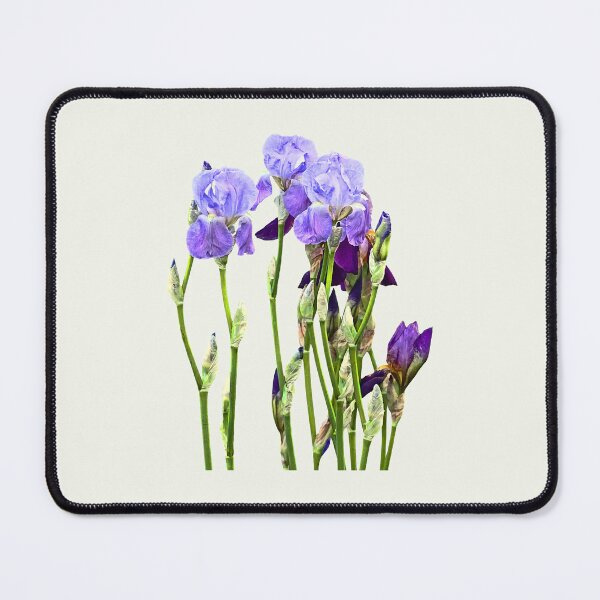 Item preview, Group of Lavendar Irises and Buds designed and sold by Susan Savad.