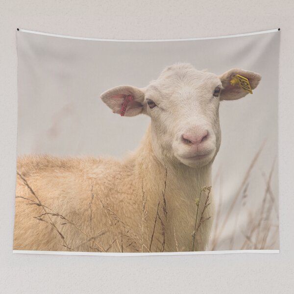 Item preview, A Face To Melt Even The Hardest Of Hearts designed and sold by Jim Love.