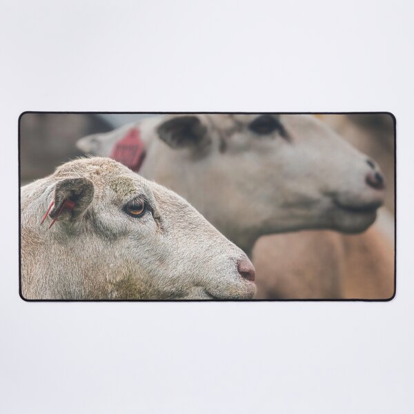 Item preview, Profiles In Wool designed and sold by Jim Love.