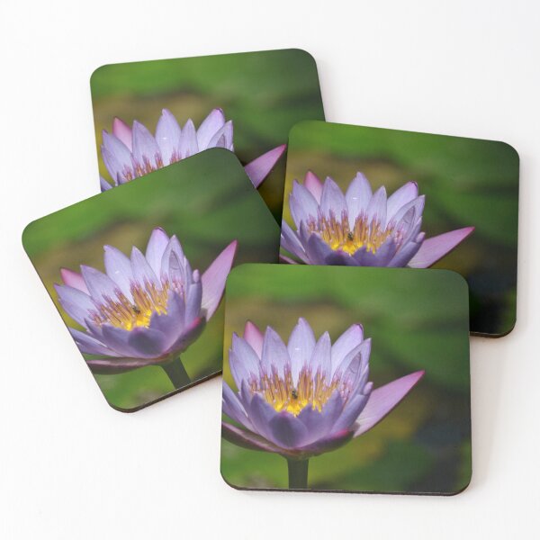 Item preview, Water lily designed and sold by zedakxis.