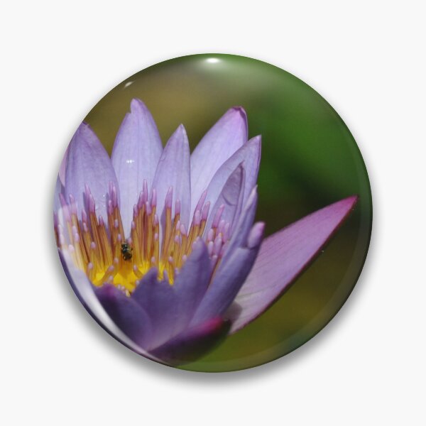 Item preview, Water lily designed and sold by zedakxis.