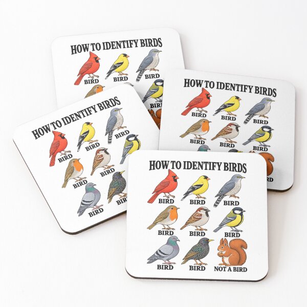 Item preview, Funny Bird Identification Chart Birdwatching Birder Gift designed and sold by JackCurtis1991.