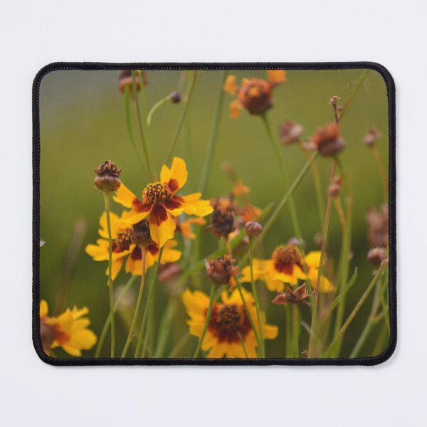 Item preview, Yellow Flowers in Garden designed and sold by zedakxis.
