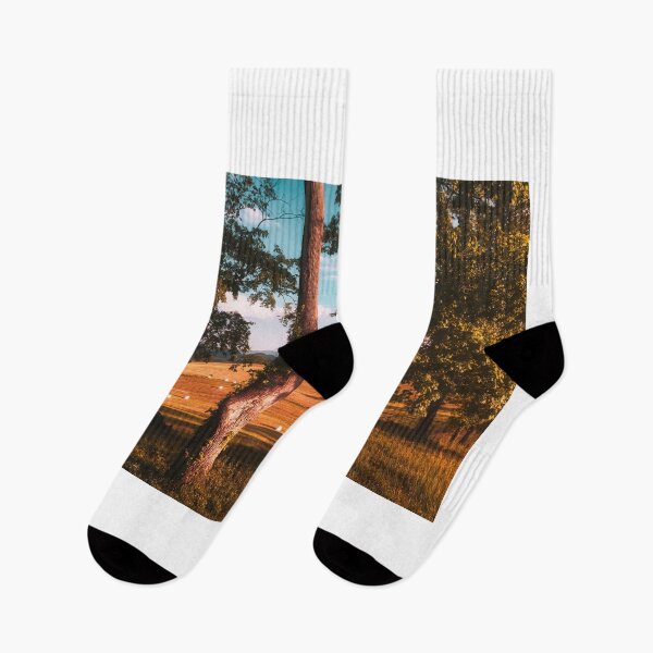 Item preview, Hayfield Through The Trees designed and sold by Jim Love.
