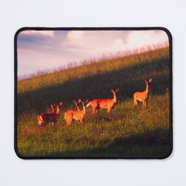 Item preview, Daybreak Deer designed and sold by Jim Love.