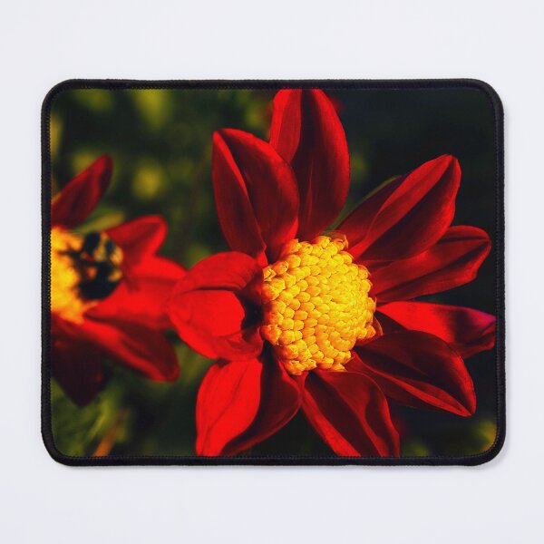Item preview, Background Bumblebee designed and sold by Jim Love.