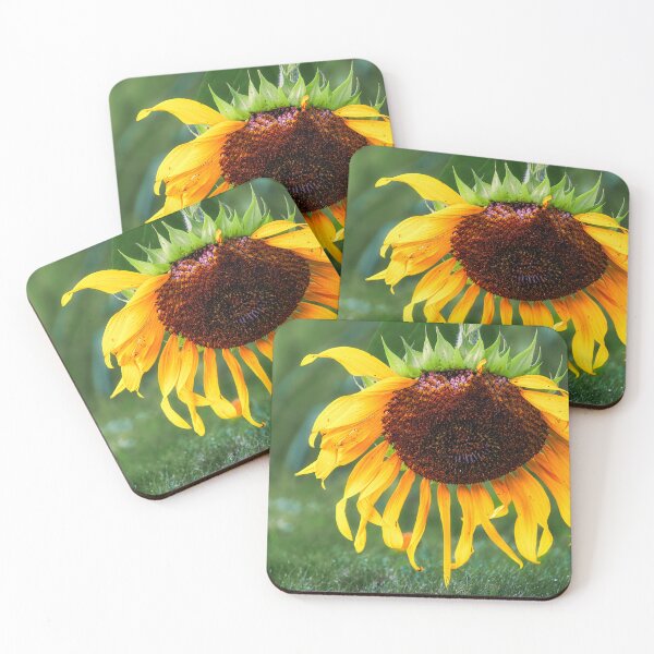 Item preview, Late Summer Swoon designed and sold by Jim Love.