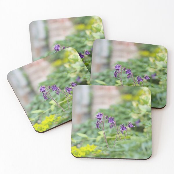 Item preview, Aquilegia flowers in a walled garden designed and sold by GreyFeatherPhot.