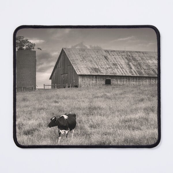 Item preview, Holstein Serenity BW designed and sold by Jim Love.