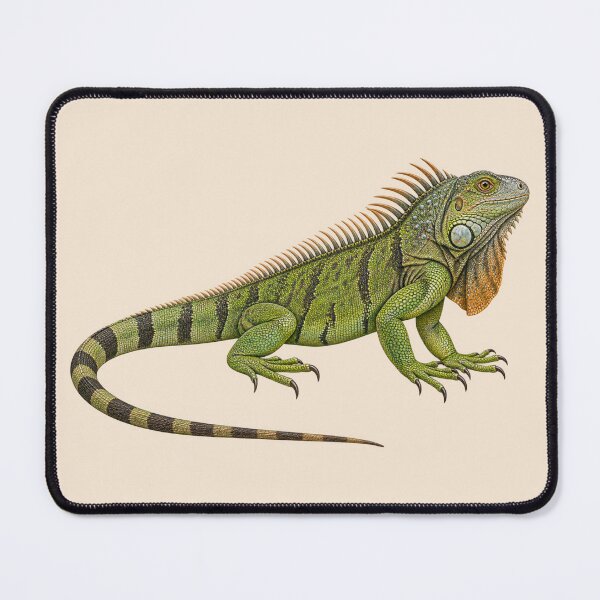 Item preview, Green Iguana designed and sold by RAMIRELLI.
