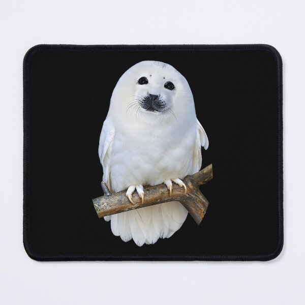 Item preview, Seal Owl Funny Seal Meme designed and sold by Chromatic-Cubes.