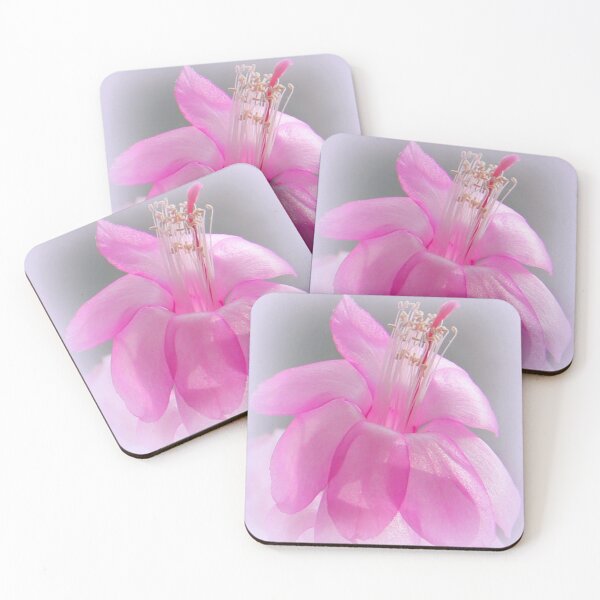 Item preview, Magical Christmas Cactus designed and sold by vette.