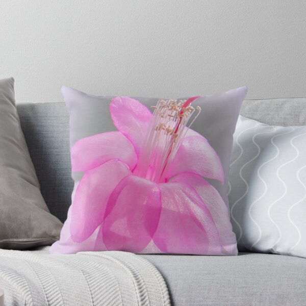 Item preview, Magical Christmas Cactus designed and sold by vette.