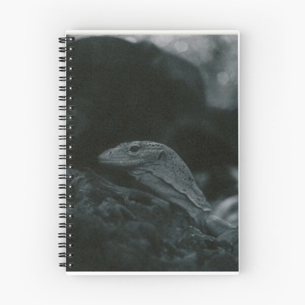 Item preview, Suspicious Lizard on a rock designed and sold by Kemothify.