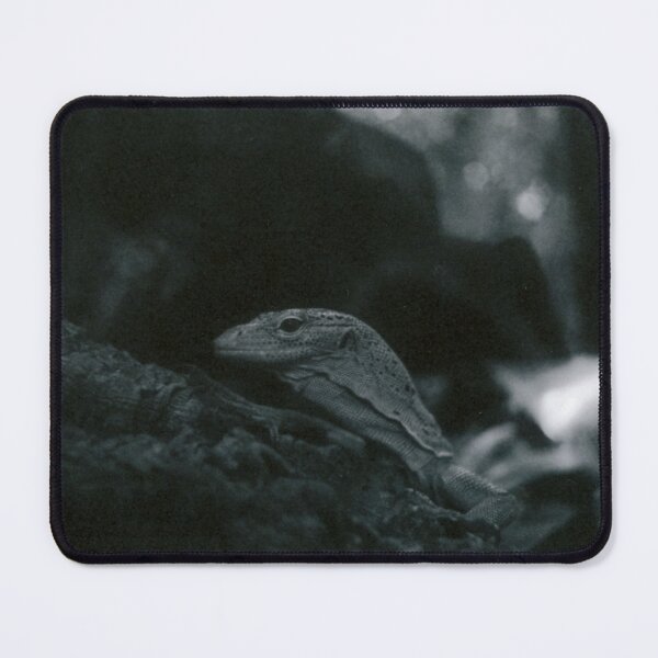 Item preview, Suspicious Lizard on a rock designed and sold by Kemothify.