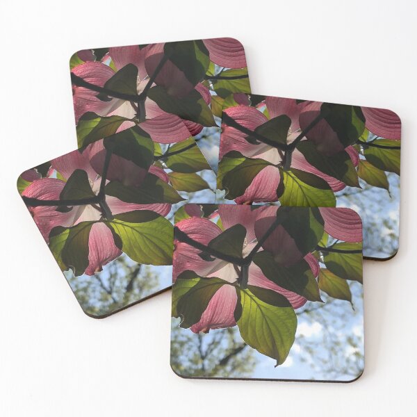 Item preview, Pink Dogwood flowers, no filter photograph designed and sold by GiSilver.