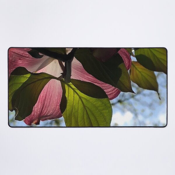 Item preview, Pink Dogwood flowers, no filter photograph designed and sold by GiSilver.
