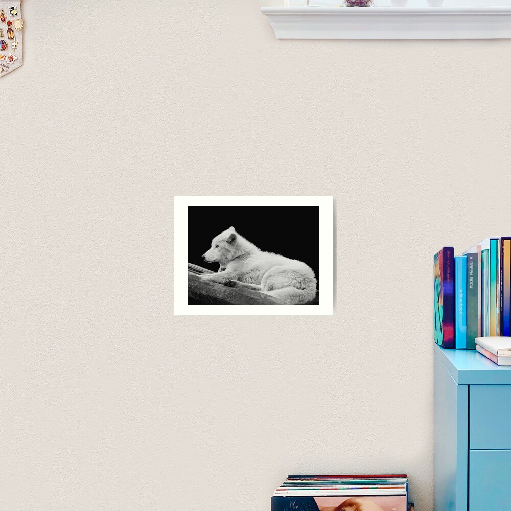 White Arctic Wolf Art Print