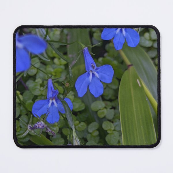 Item preview, Lobelia Sapphire Blue Flowers, Garden Macro Photography designed and sold by PrettyAround.